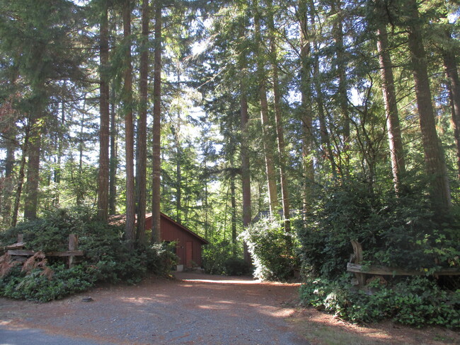 Foto del edificio - Beautiful 3 bedroom Log Home on large lot ...