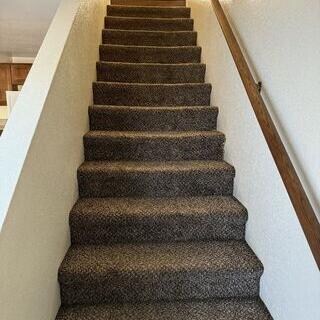 Foto del edificio - 8716 Ildica St