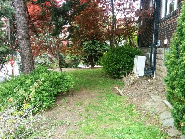 Garden - 5504 Phillips Ave