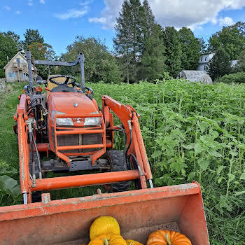 Welcome to help on the farm - 78 S Stanley Hill Rd