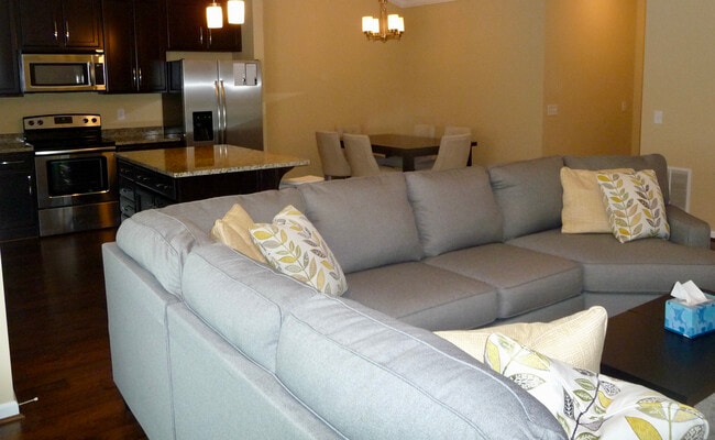 Living area, kitchen and dining - 3390 Wasson Rd