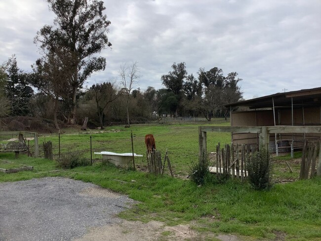 Foto del edificio - One bedroom ADU in rural Sebastopol