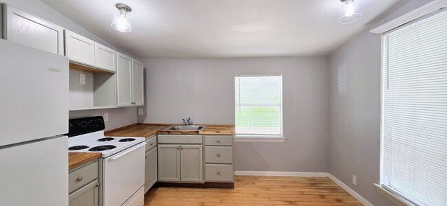 Building Photo - Mahncke Park! 1-Bedroom in 4-Plex near Ft ...