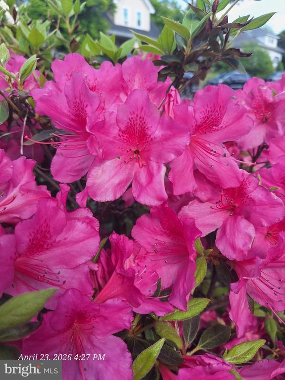 Foto del edificio - 3721 Frankford Ave