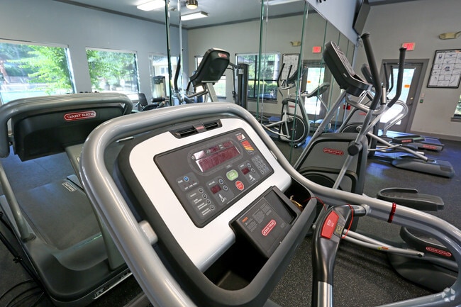 Gimnasio - The Lory of Tallahassee