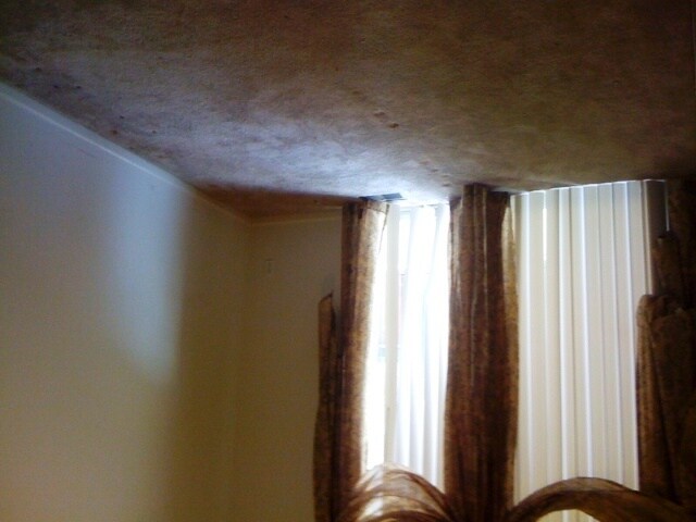 Foto del edificio - 73 Winder St