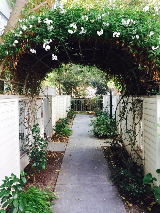 Path to Townhouse - 972 Belmont Ter