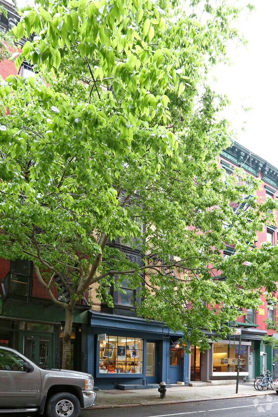 Building - 239 Elizabeth St