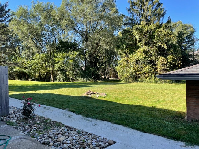 Backyard - 8451 Pleasantwood Ave NW