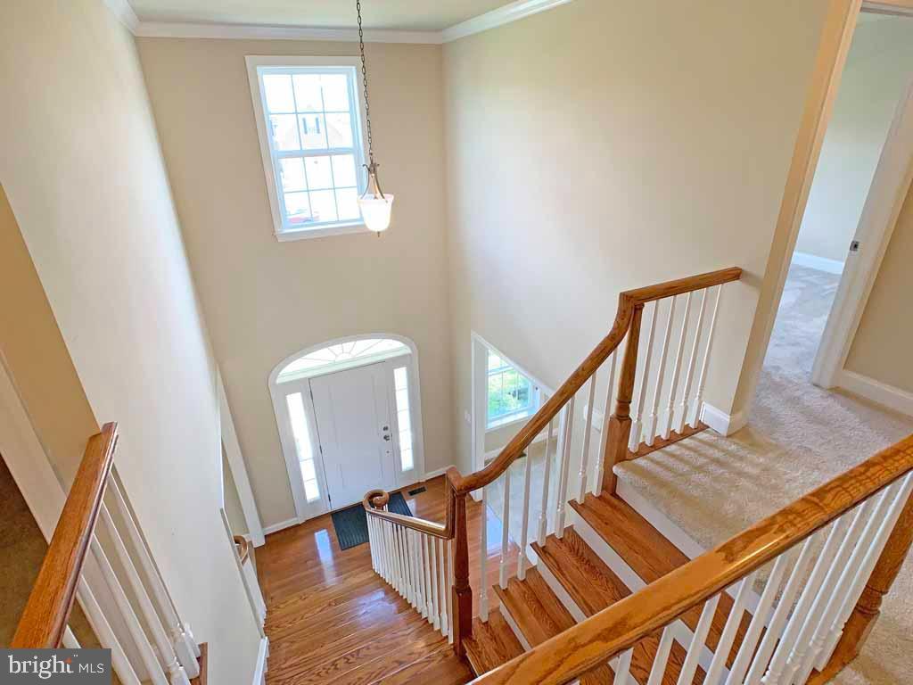 5 Emerson Ct, Warminster, PA 18974 House Rental in Warminster, PA