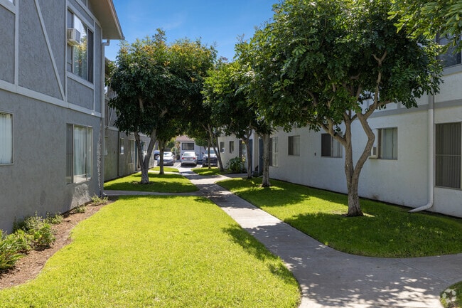 Courtyard - View Apartments