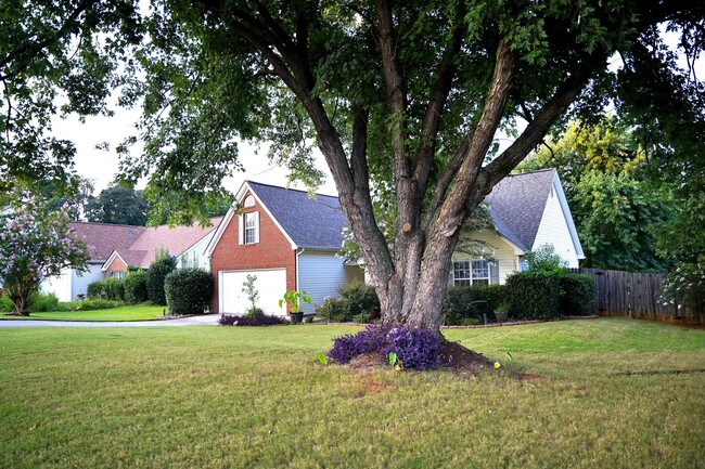 Front Lawn - 60 Shenandoah Dr