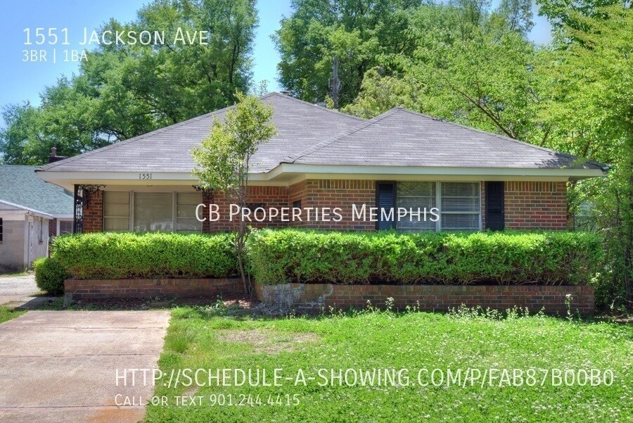 Primary Photo - 3/1 Midtown home for rent. Just renovated!
