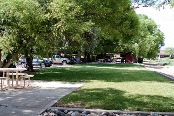Picnic Area - North Star Apartments