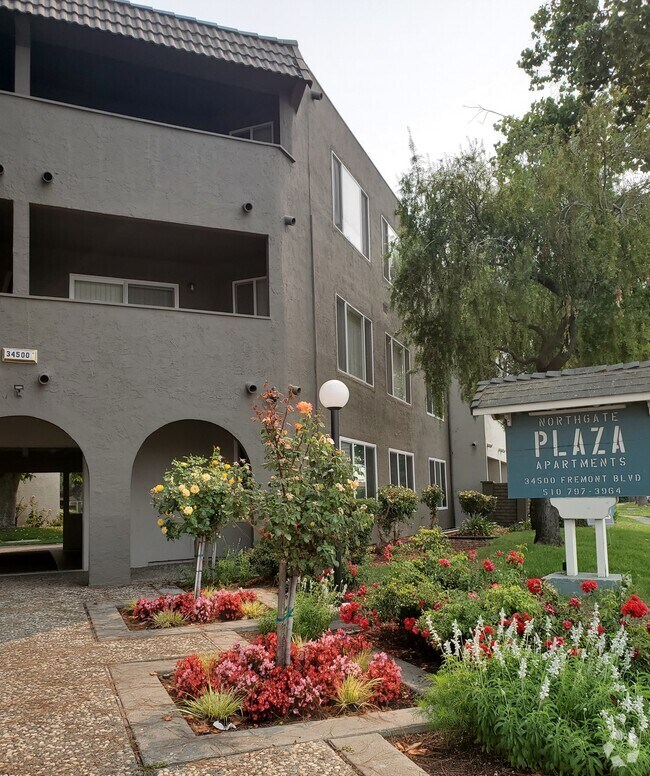 Cheap Apartments For Rent In Fremont Ca Apartments Com