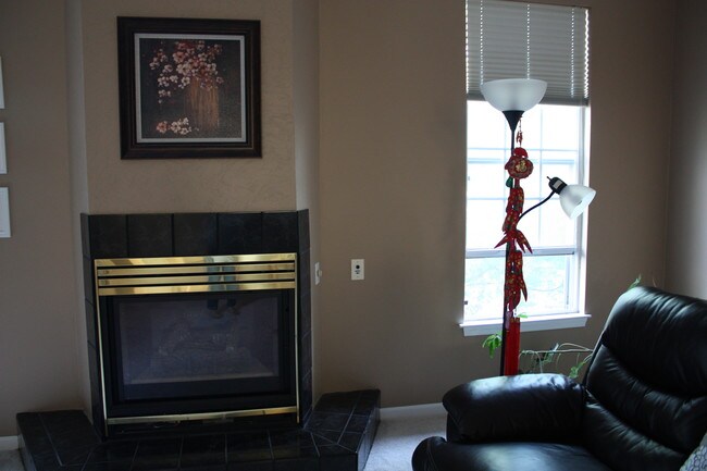 Living room with fireplace - 9207 Owings Choice Ct
