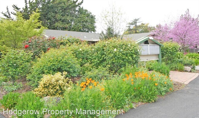 Building Photo - 2 br, 2 bath House - 2135 Redwood Road