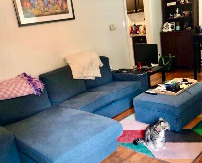 Living Room - 1709 Westhill Rd