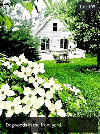 Front Yard with flowers - 589 Sylvan Dell Park Rd