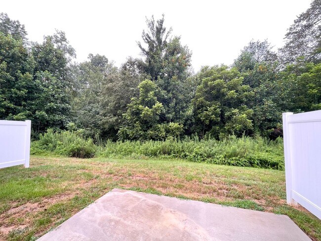 Building Photo - Charming NEW construction in Haw River wit...