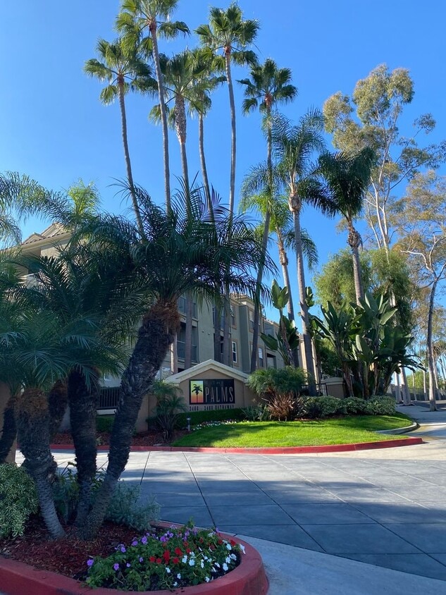 Primary Photo - The Palms Condo