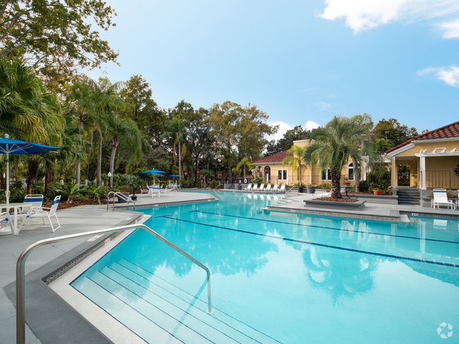 Building Photo - Grande Oasis at Carrollwood