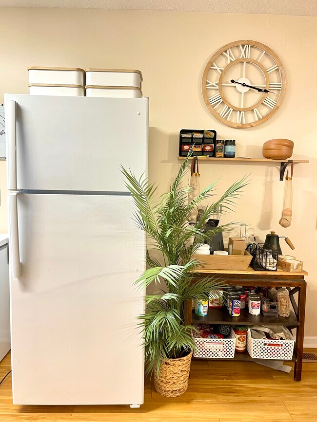 Kitchenette - 223 Orchard Ln