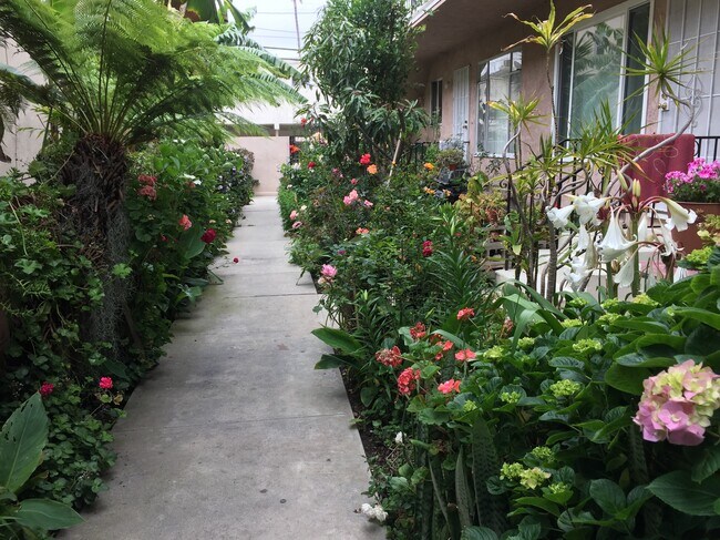 Sunny ground floor Apt. Enchanting tropical flowered common area - 3721 Motor Ave