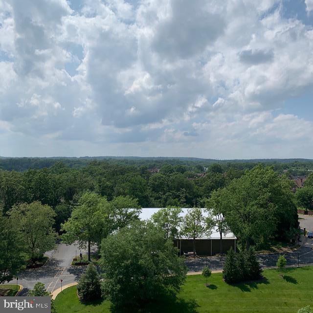 205 Yoakum Pkwy Unit 1206, Alexandria, VA 22304 Room for Rent in