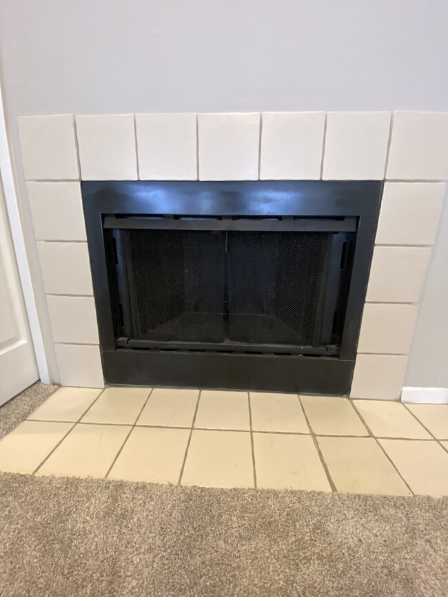Fireplace - 1134 Briarhill Ln NE