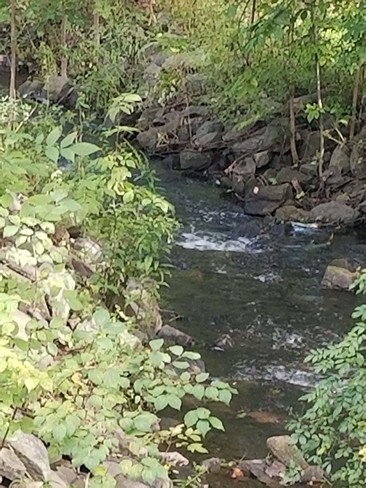 Foto del edificio - 507 Center St