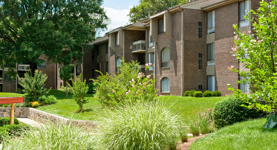 Paisajes galardonados - PeachTree of McLean