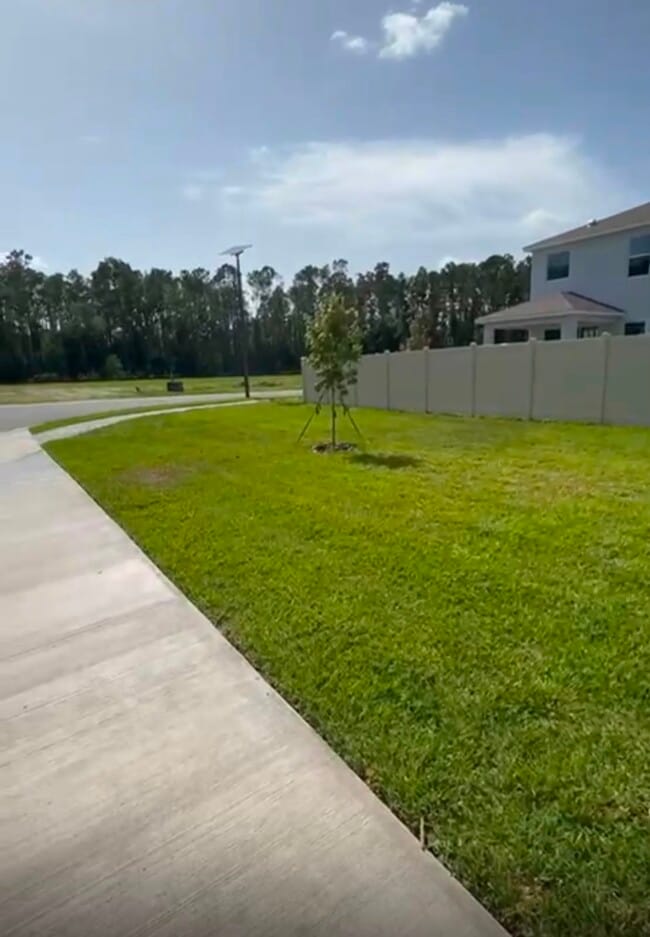 Front yard - 6856 Daintree Ct