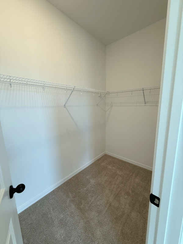 Building Photo - 4423 Masthead Ave