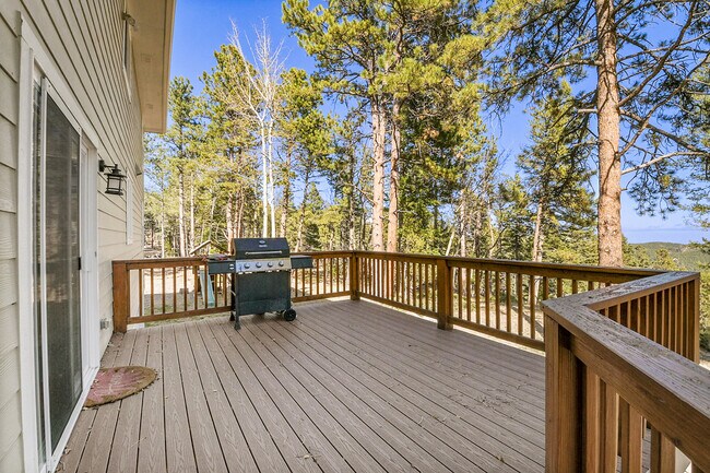 Photo - 23805 Mormon Dr House