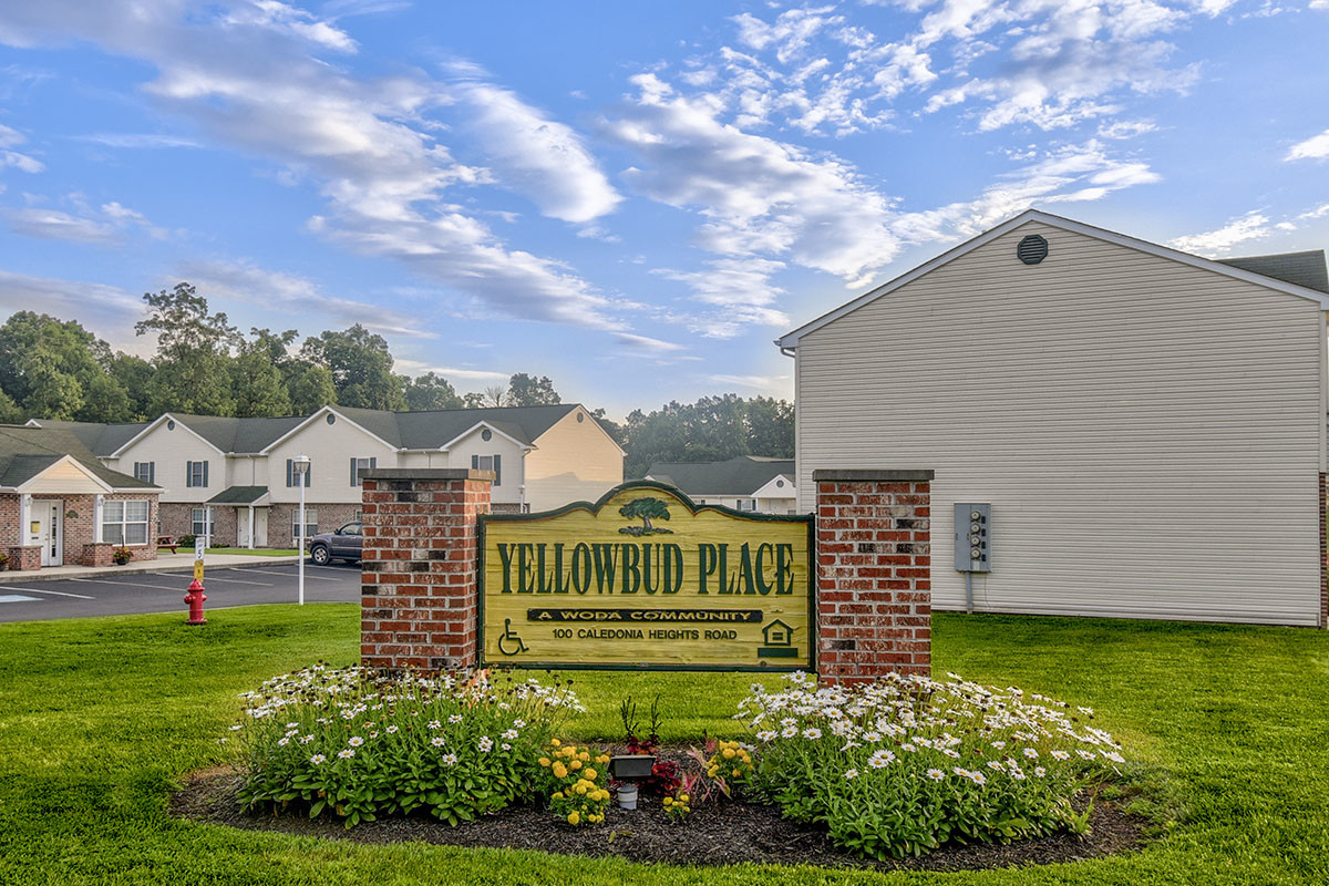 Primary Photo - Yellowbud Place