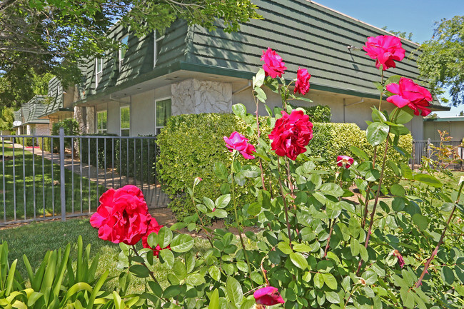 ¡Cambridge Gardens - Cambridge Gardens