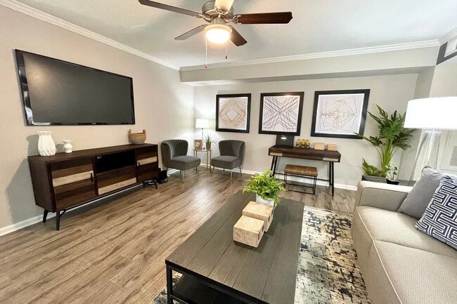 Foto del edificio - Modern Comfort Meets Relaxed Humble Vibes
