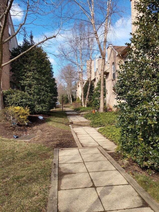 Foto principal - 58 Rampart Dr