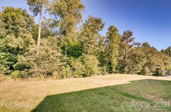 Backyard - 772 Rosegate Dr