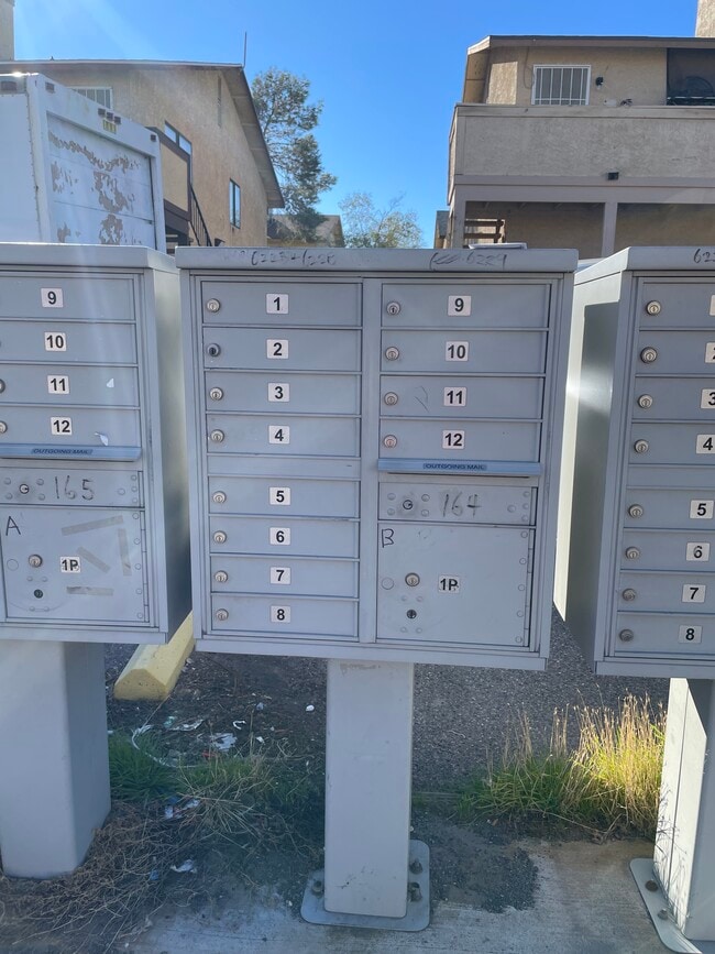 Building Photo - 6229 Yerba Ln