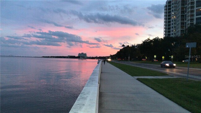 Foto del edificio - 3325 Bayshore Blvd