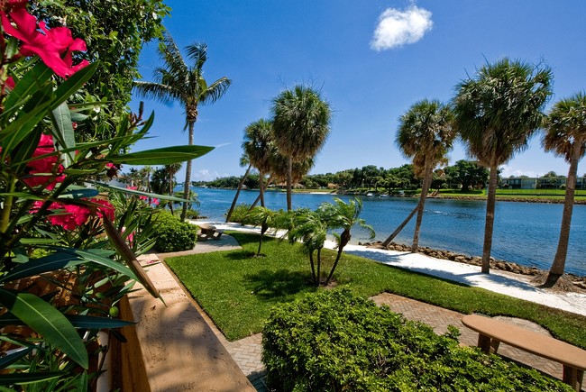 Sanctuary Cove Apartments - Palm Beach Gardens, FL | Apartments.com