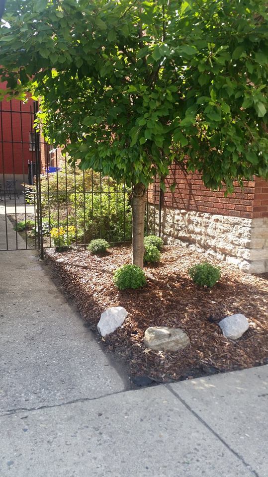 front property - 703 Willard St