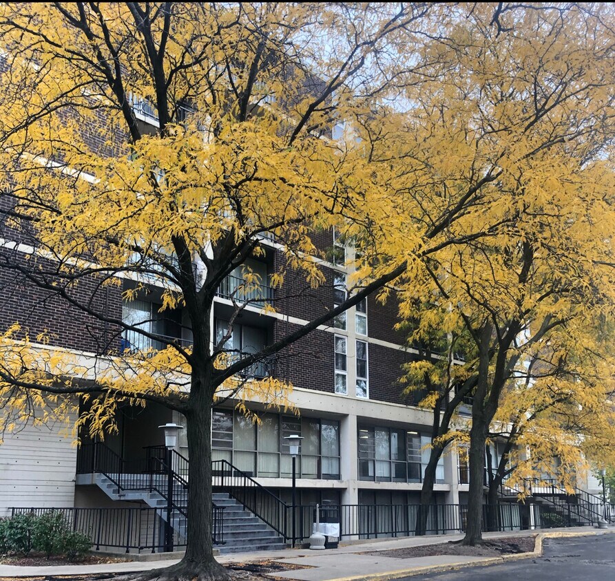 Foto principal - 1043 S York Rd