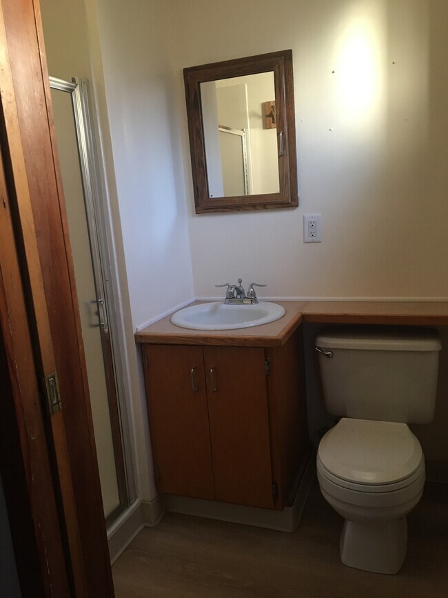 Smaller bathroom - 2544 Kincaid St