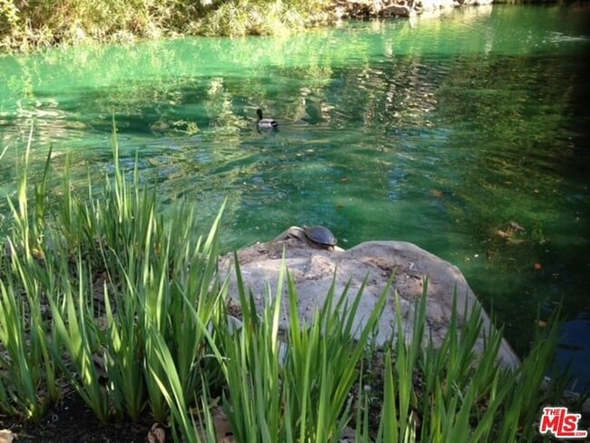 Building Photo - 1115 Raintree Cir