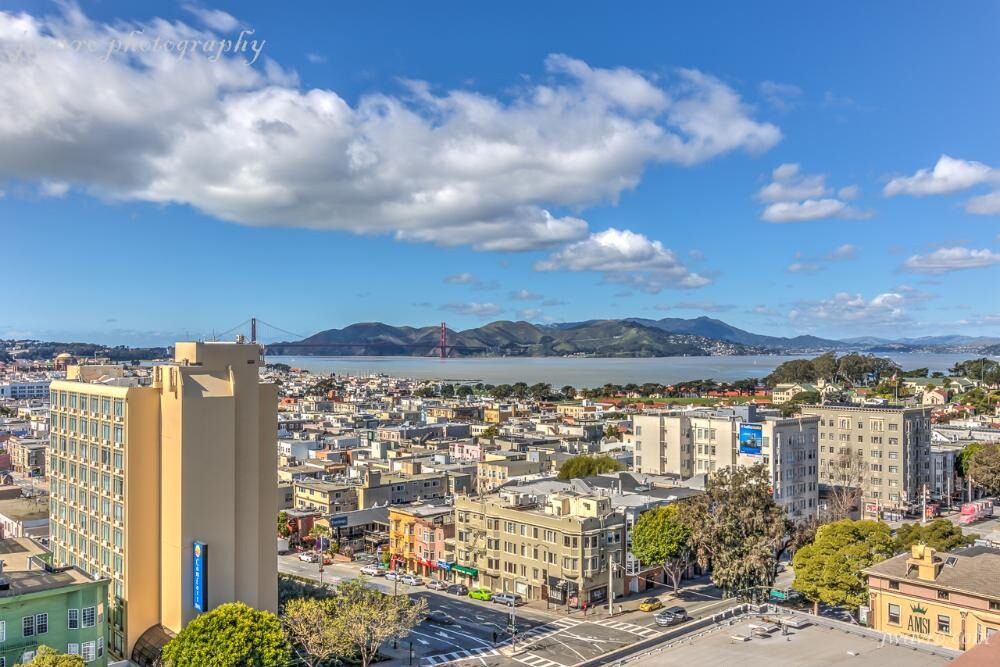 1450 Greenwich St Unit 604, San Francisco, CA 94109 Condo for Rent in