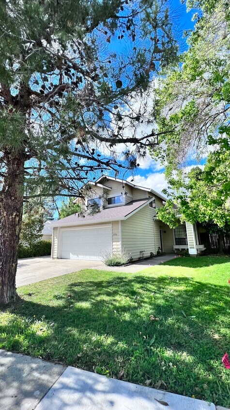 Primary Photo - Now Ready! Newly Updated and Spacious 3/2....