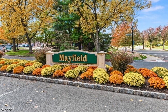 Foto del edificio - 83 Mayfield Rd